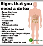 Signs that you need to detox - Informative Graphic at Better Results Personal Training